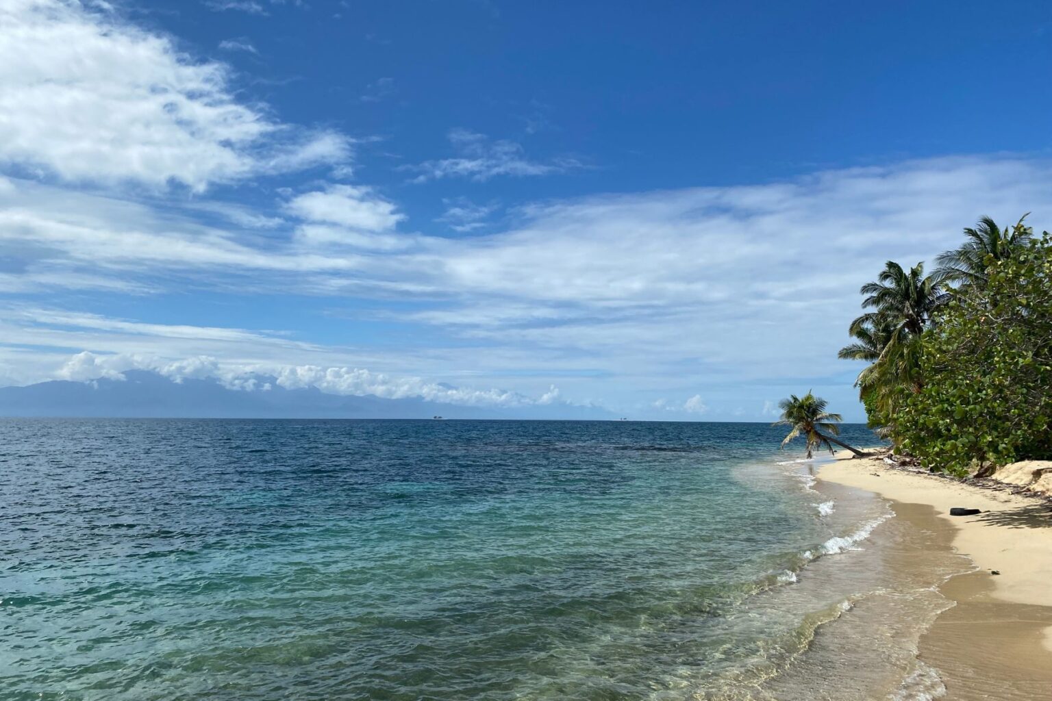 Vacances et AIP